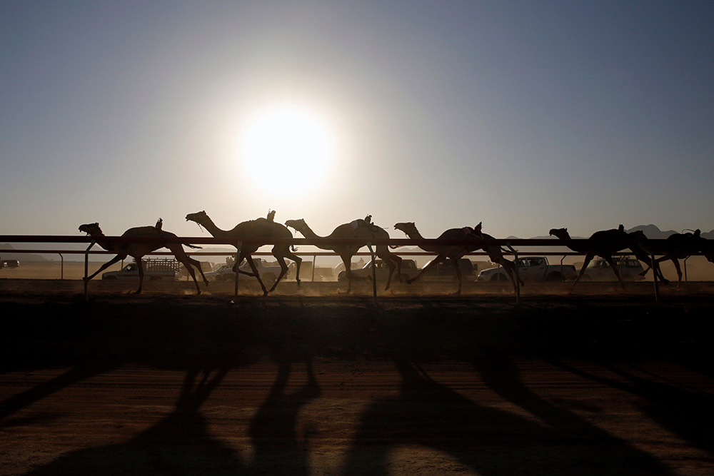 REUTERS/Muhammad Hamed