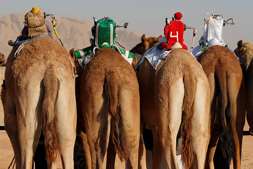 REUTERS/Muhammad Hamed