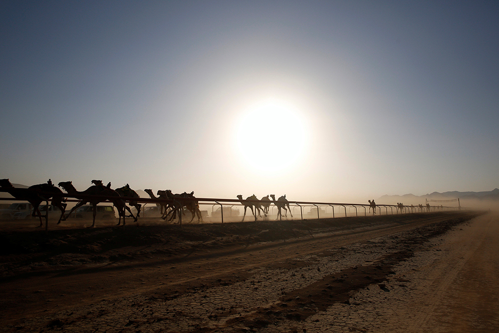 REUTERS/Muhammad Hamed