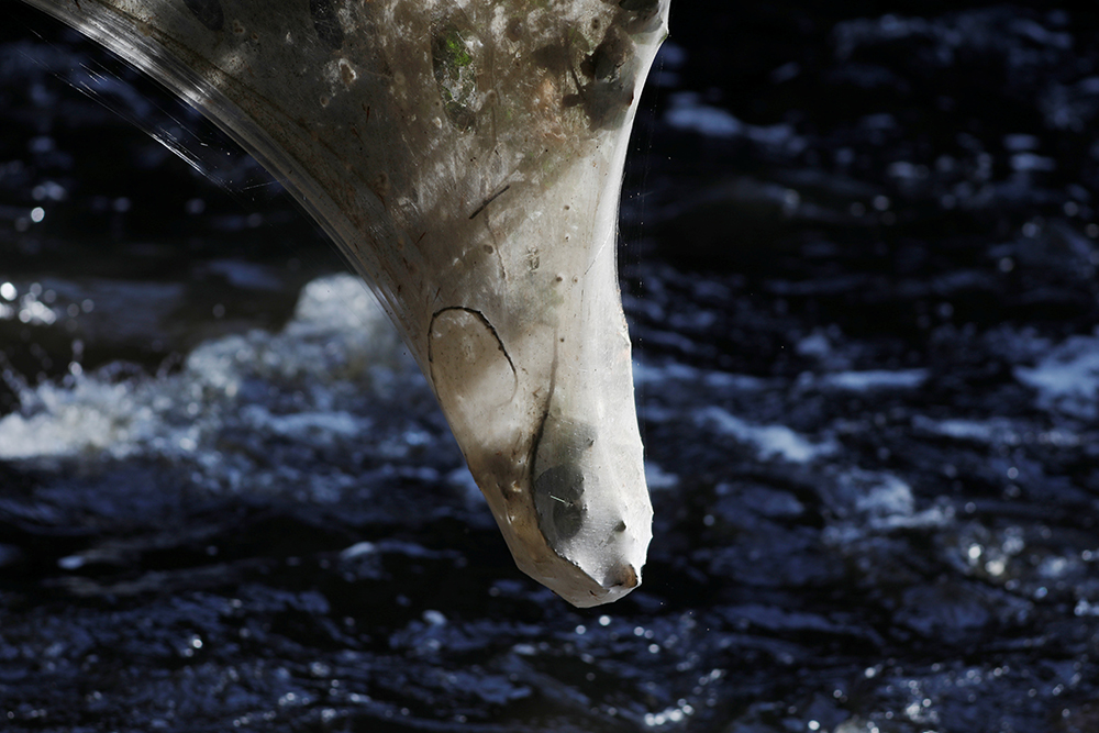 REUTERS/Ronen Zvulun