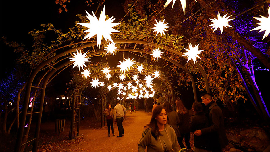 2017-11-22T075106Z_437225310_RC126DE1DB60_RTRMADP_3_CHRISTMAS-SEASON-LIGHT-INSTALLATION 1