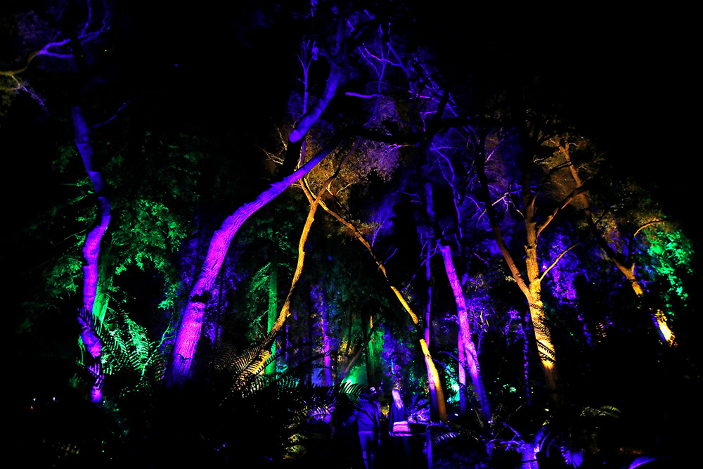 Reuters/Mario Anzuoni