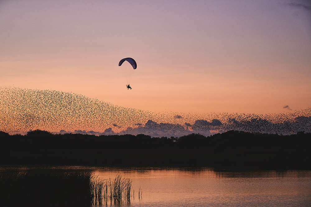 2017-12-01T145540Z_1_MTZSPDEDC1AESR37_RTRFIPP_4_RED-BULL-PHOTOS-OF-THE-YEAR-2017