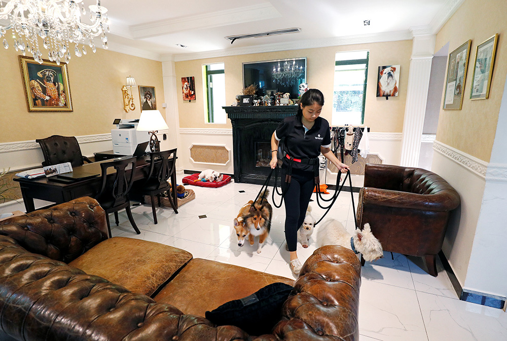 2017-12-06T111740Z_92616779_RC13EBED8E90_RTRMADP_3_GLOBAL-PETS