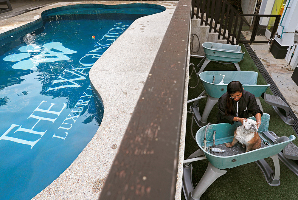 2017-12-06T115701Z_335534616_RC13D828DC80_RTRMADP_3_GLOBAL-PETS