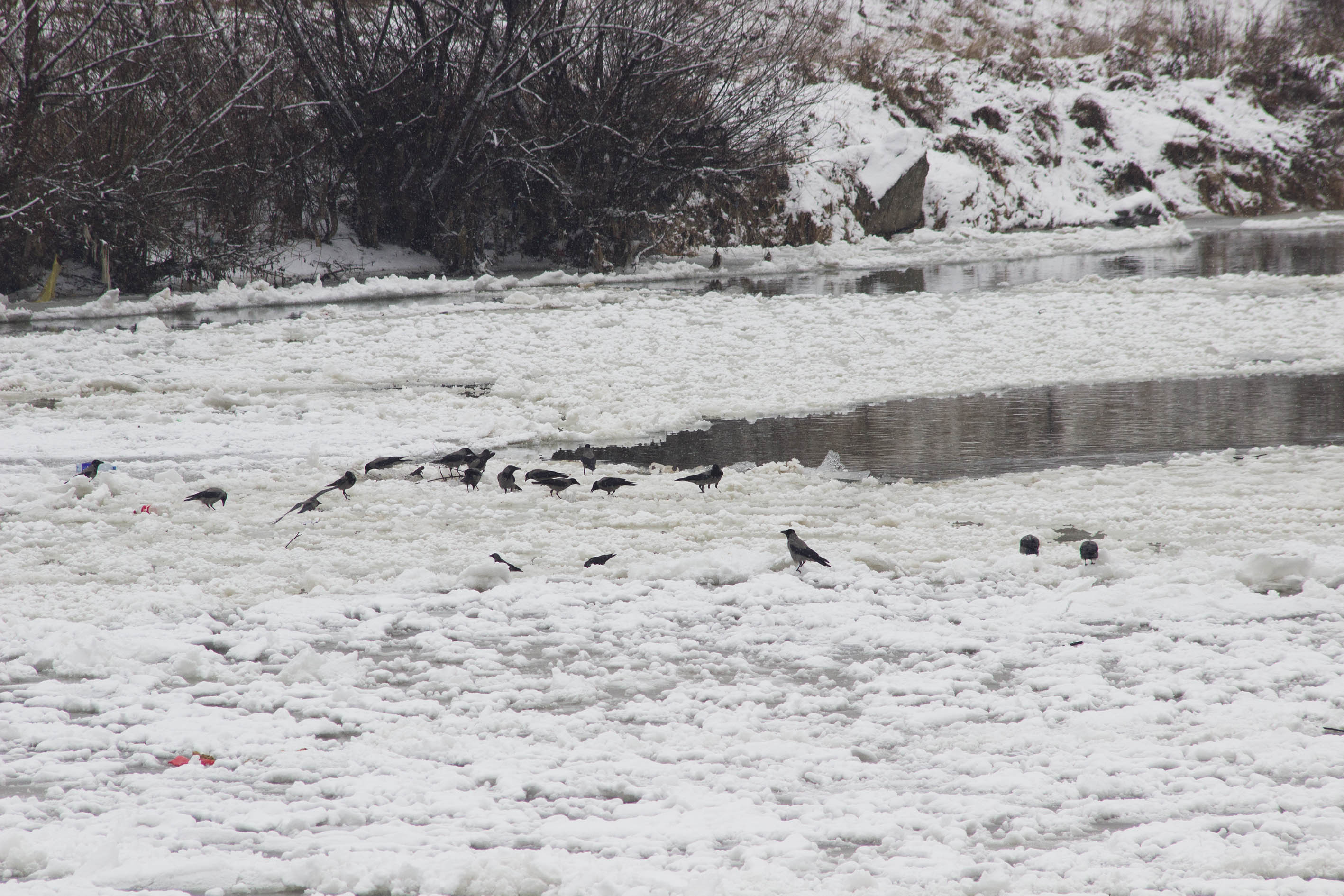 20170103_2_21088761_17633148