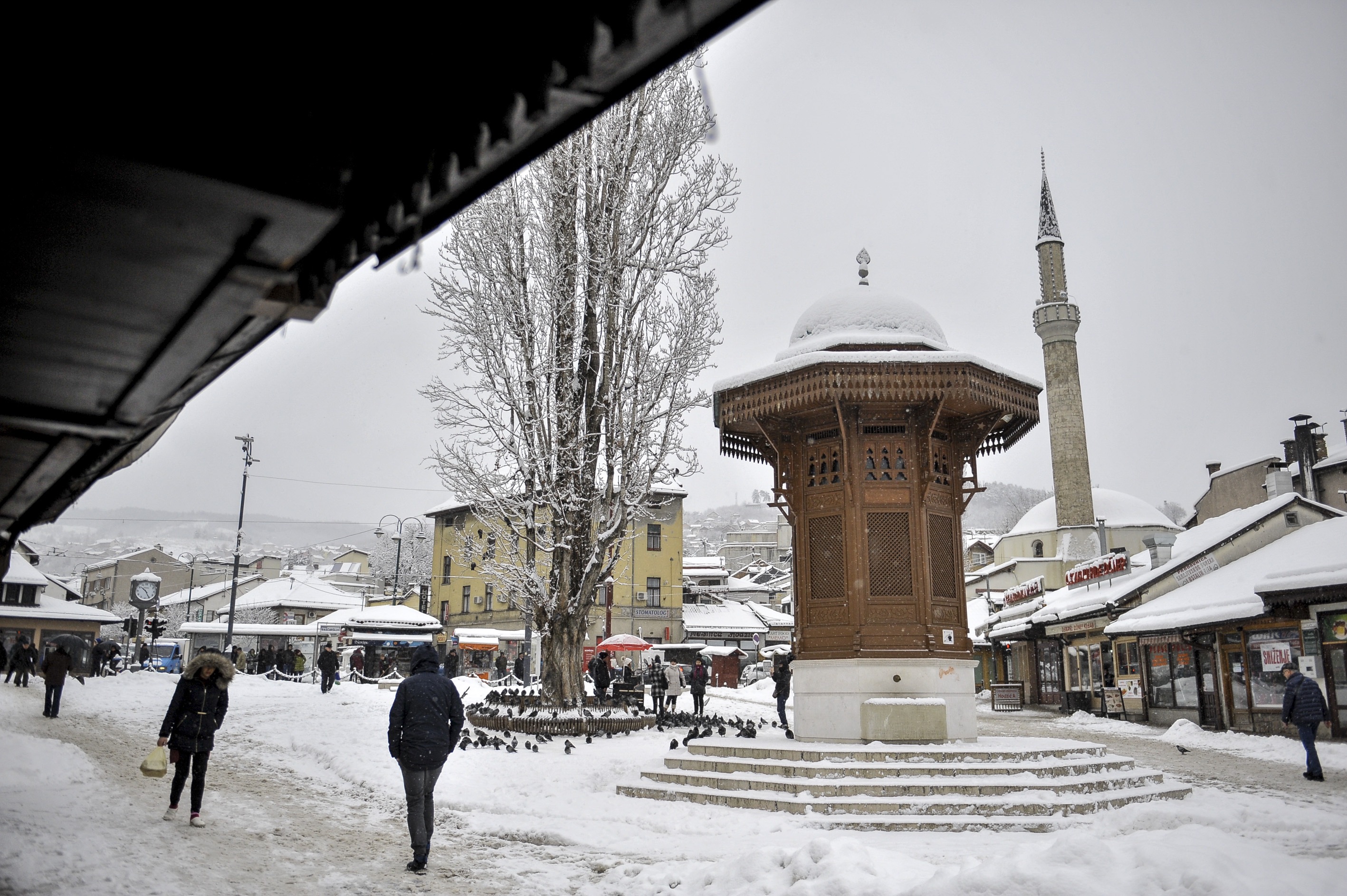 20170105_2_21119609_17673389