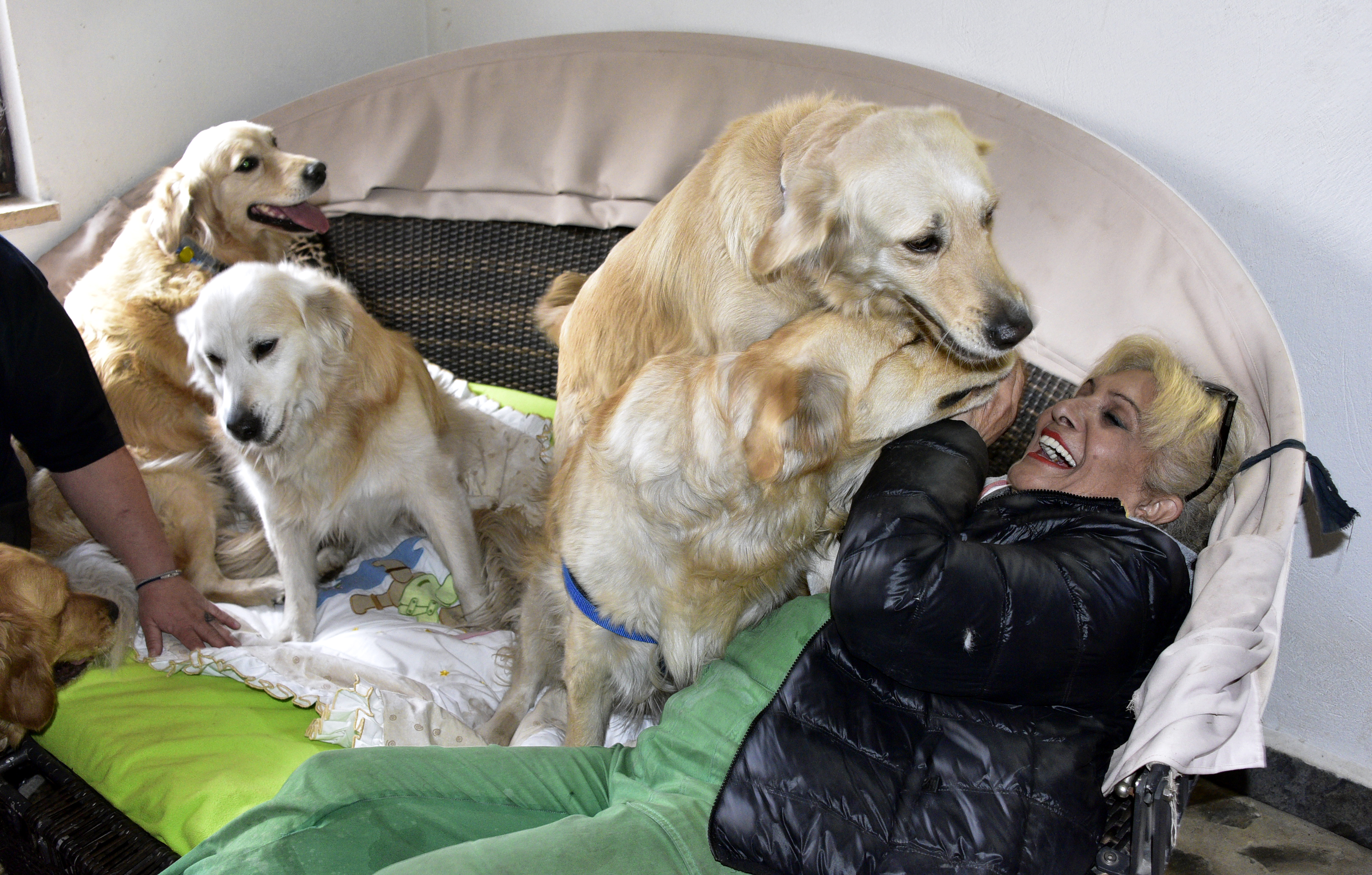 20170109_2_21185980_17794903