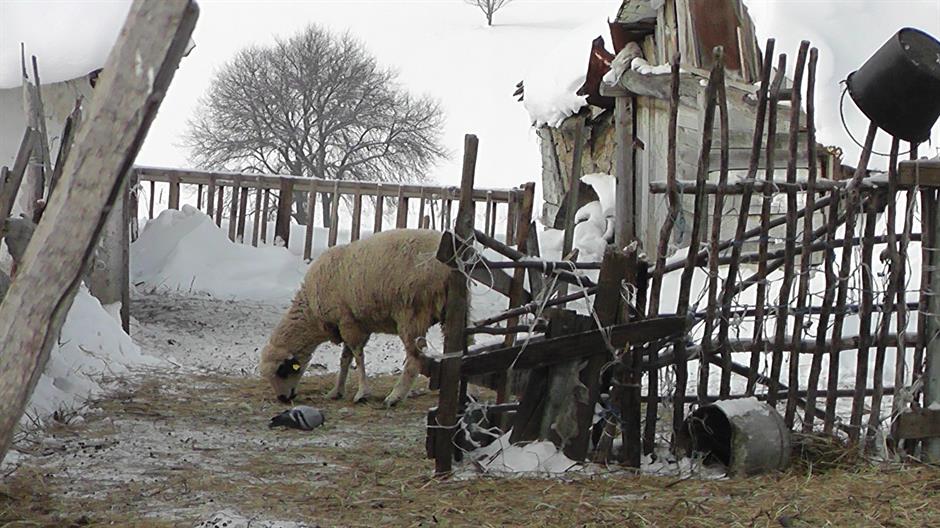 20170113_2_21267373_17920954