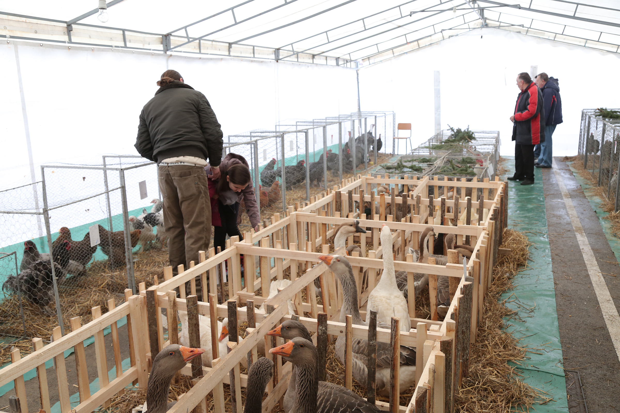 20170113_2_21273811_17930707