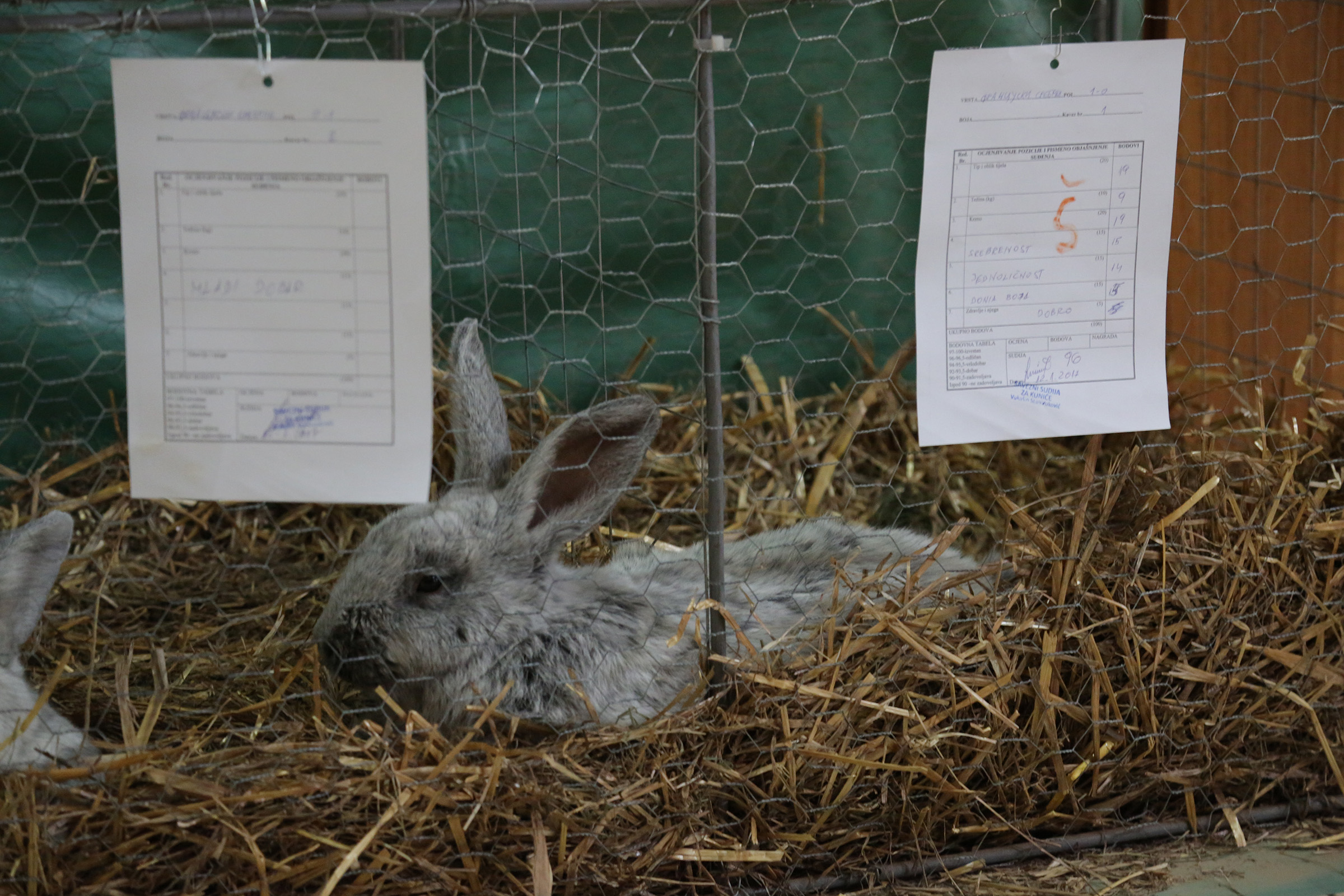 20170113_2_21273811_17930708