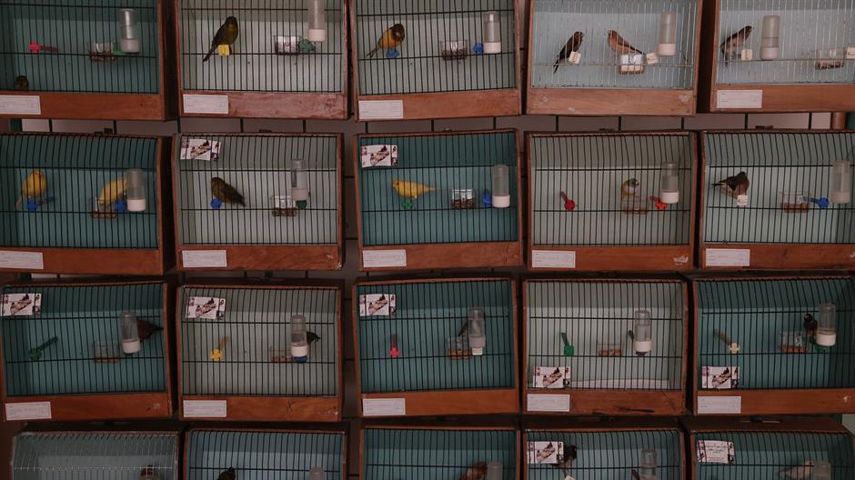 20170113_2_21273811_17930710