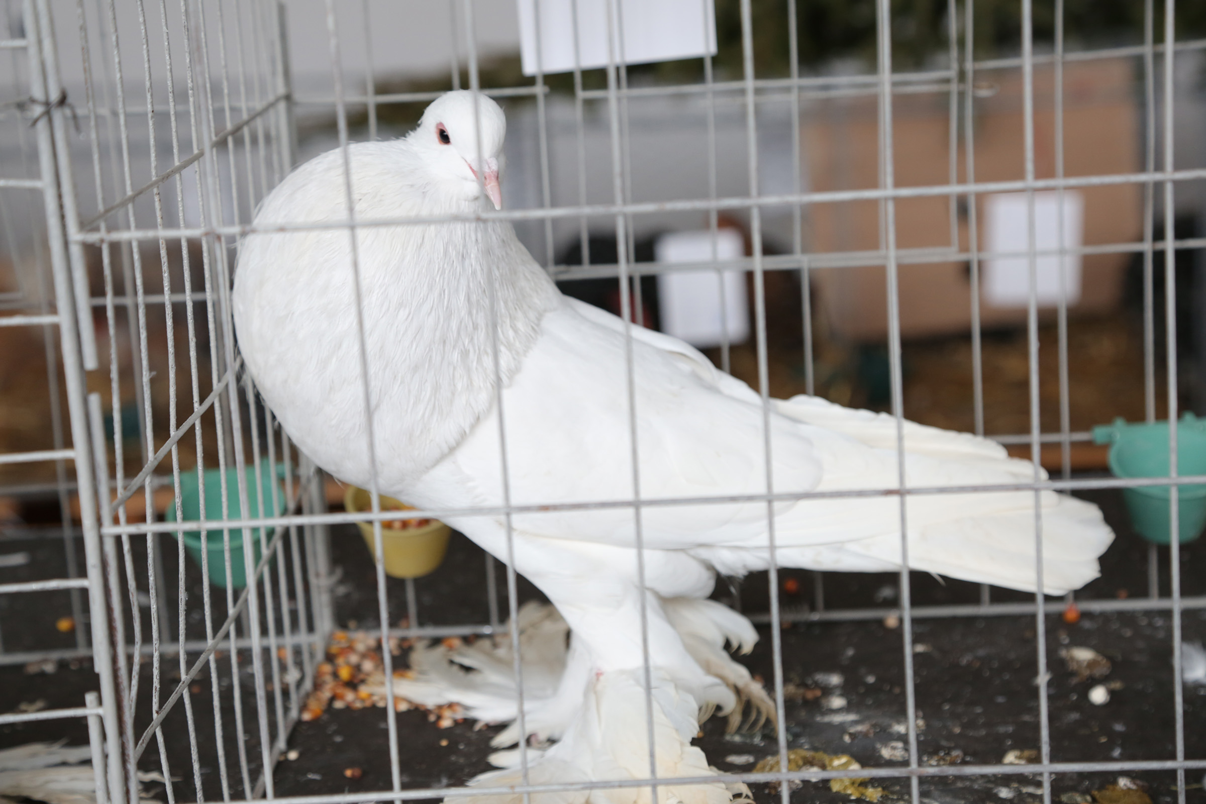 20170113_2_21273811_17930711