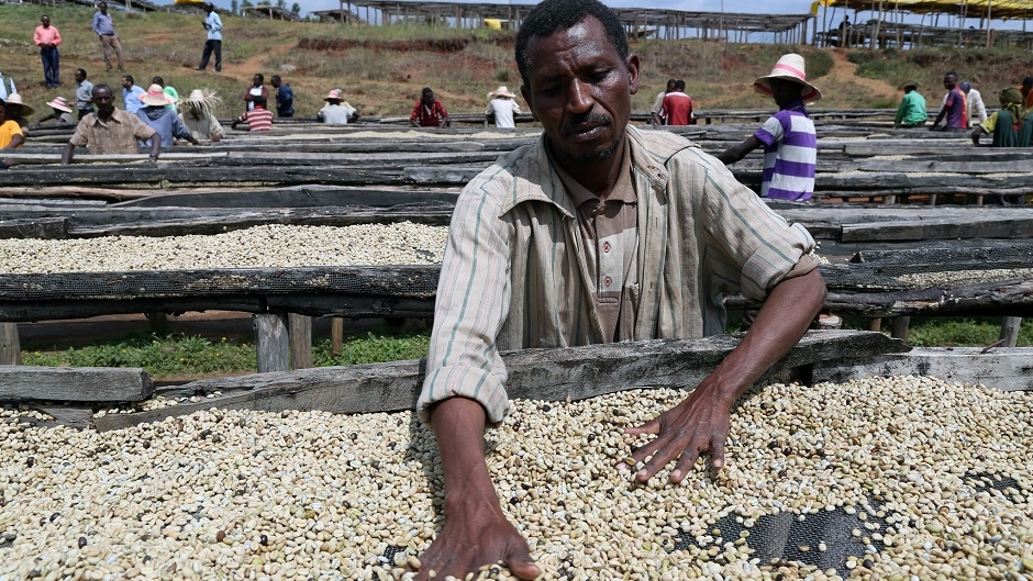 20170121_2_21416892_18172162