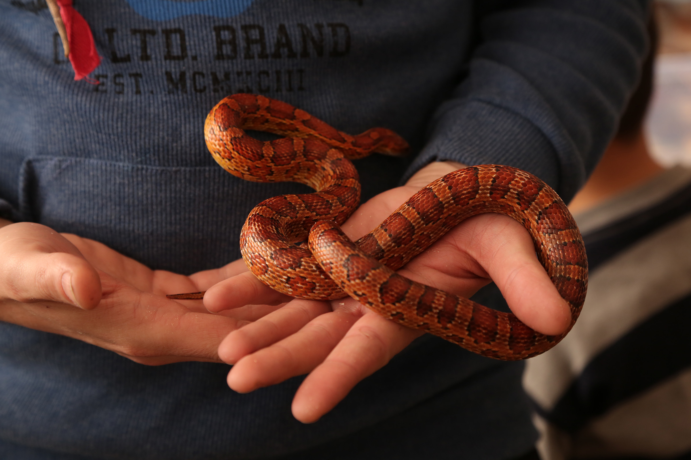 20170122_2_21429191_18196995