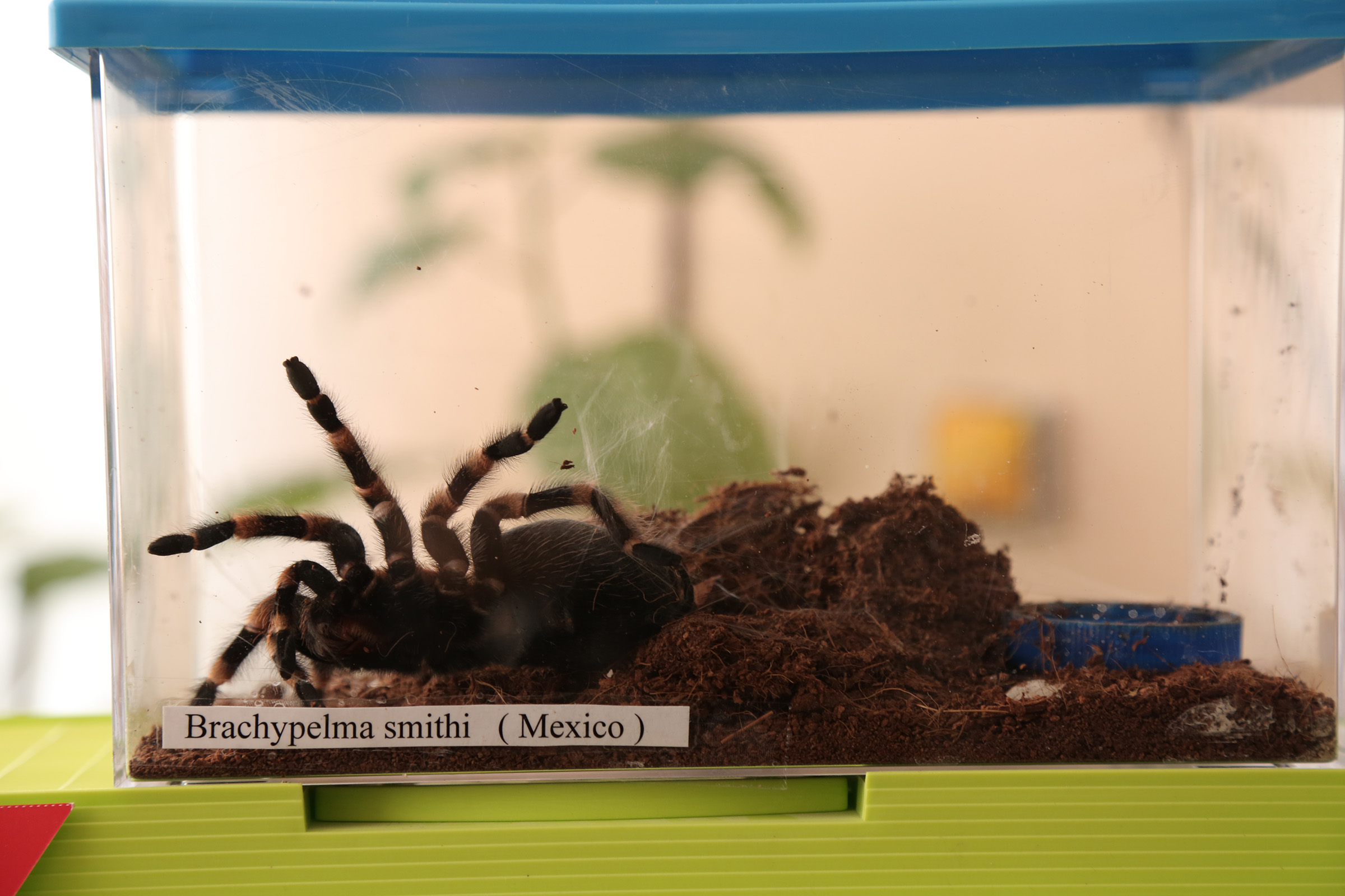 20170122_2_21429191_18196998