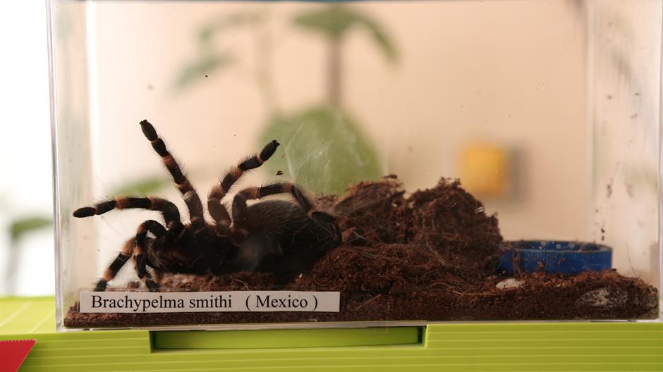 20170122_2_21429191_18196998