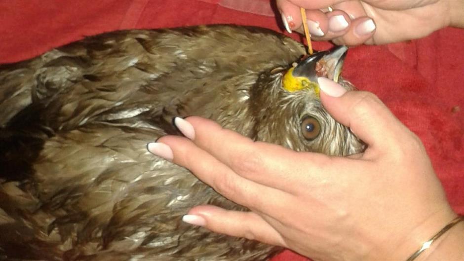 20170131_2_21598218_18483440