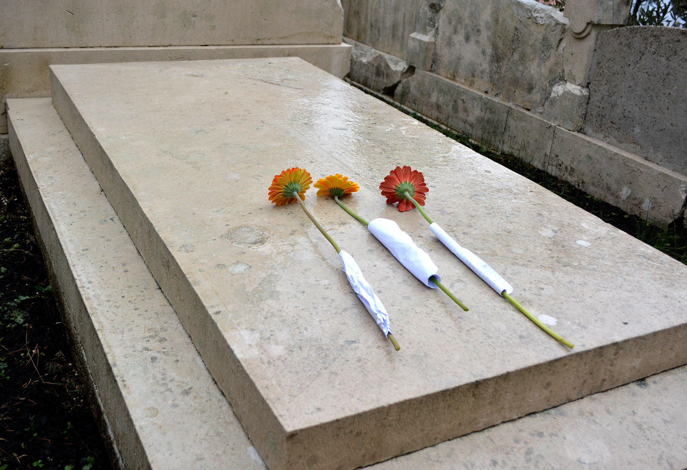 20170202_2_21635568_18533187