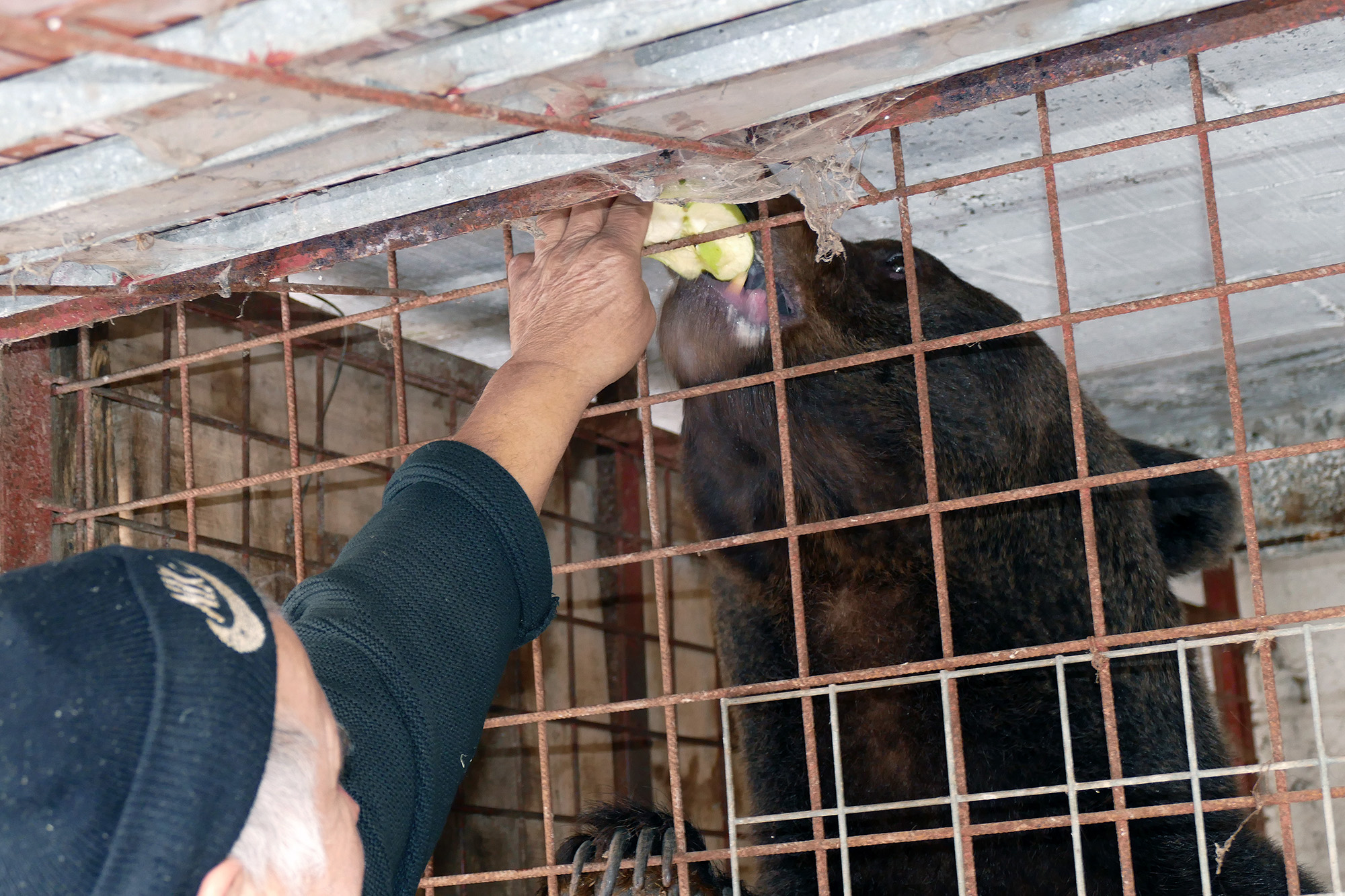 20170205_2_21681680_18620421