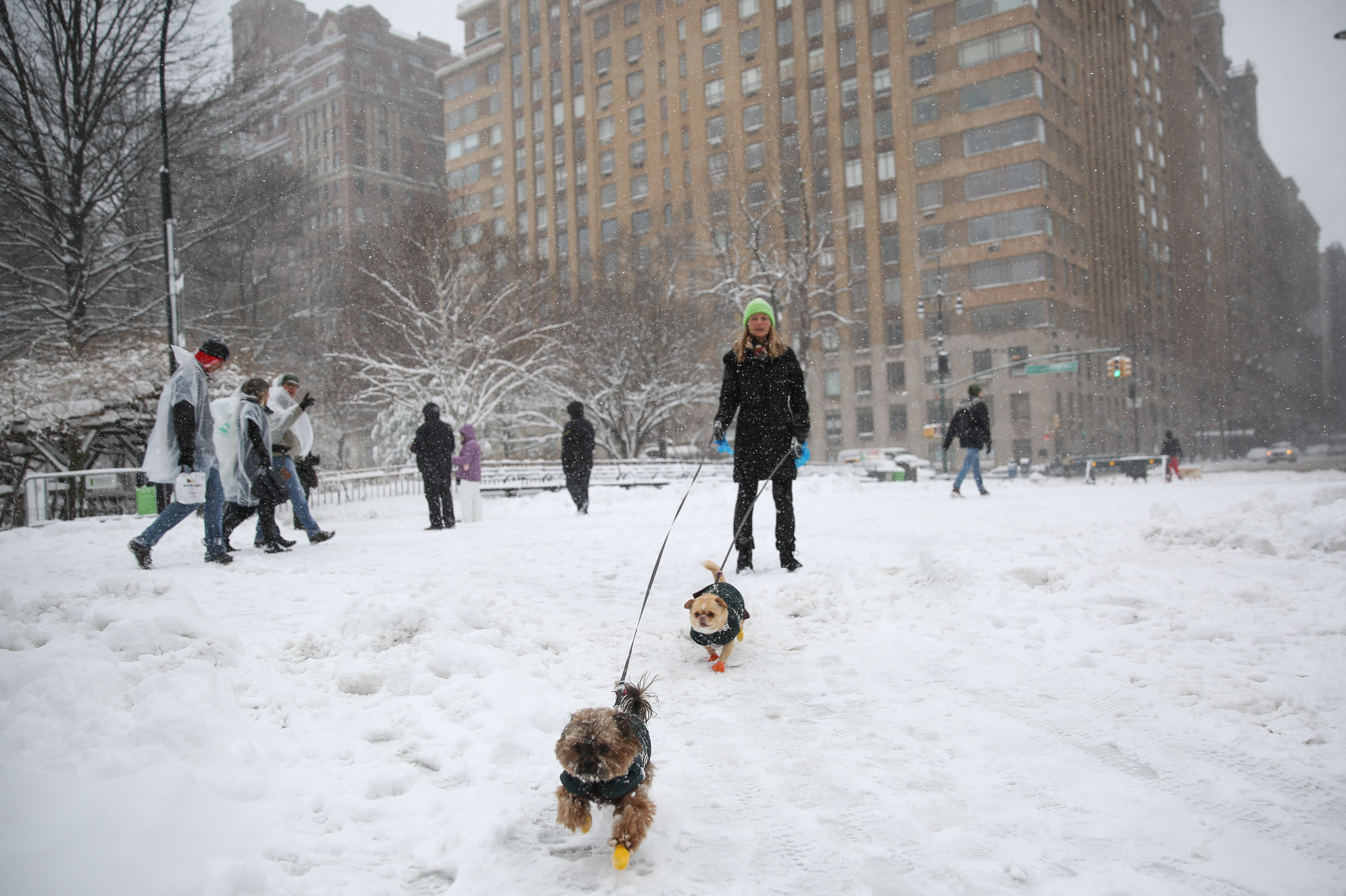 20170209_2_21765918_18744003