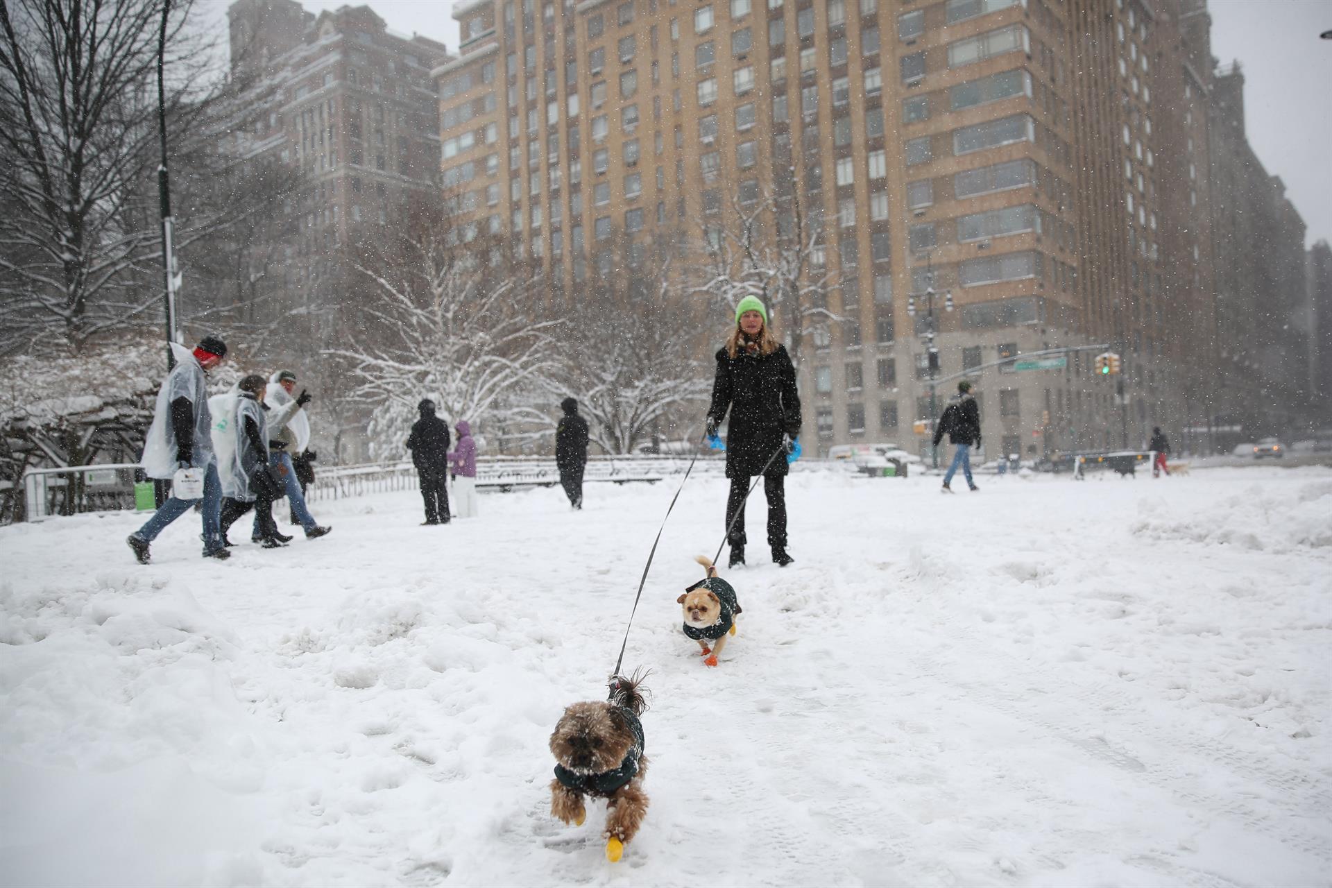 20170209_2_21765918_18744003