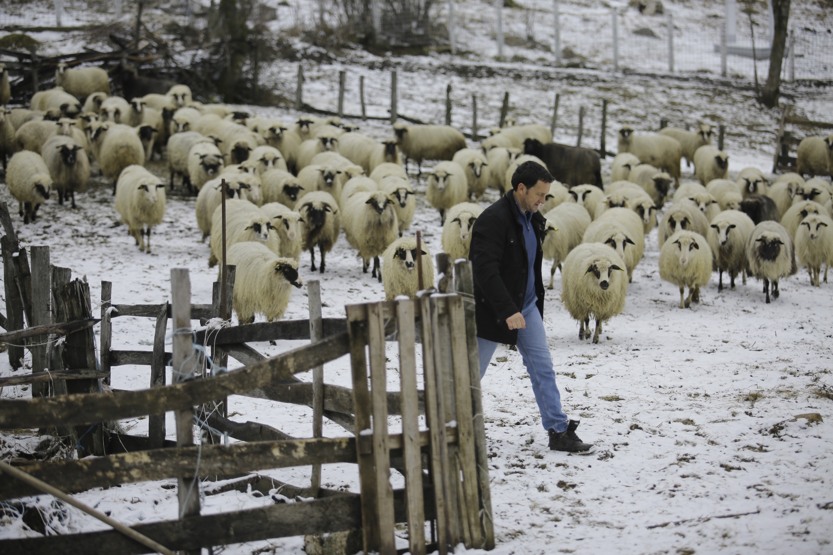 20170211_2_21795715_18798334