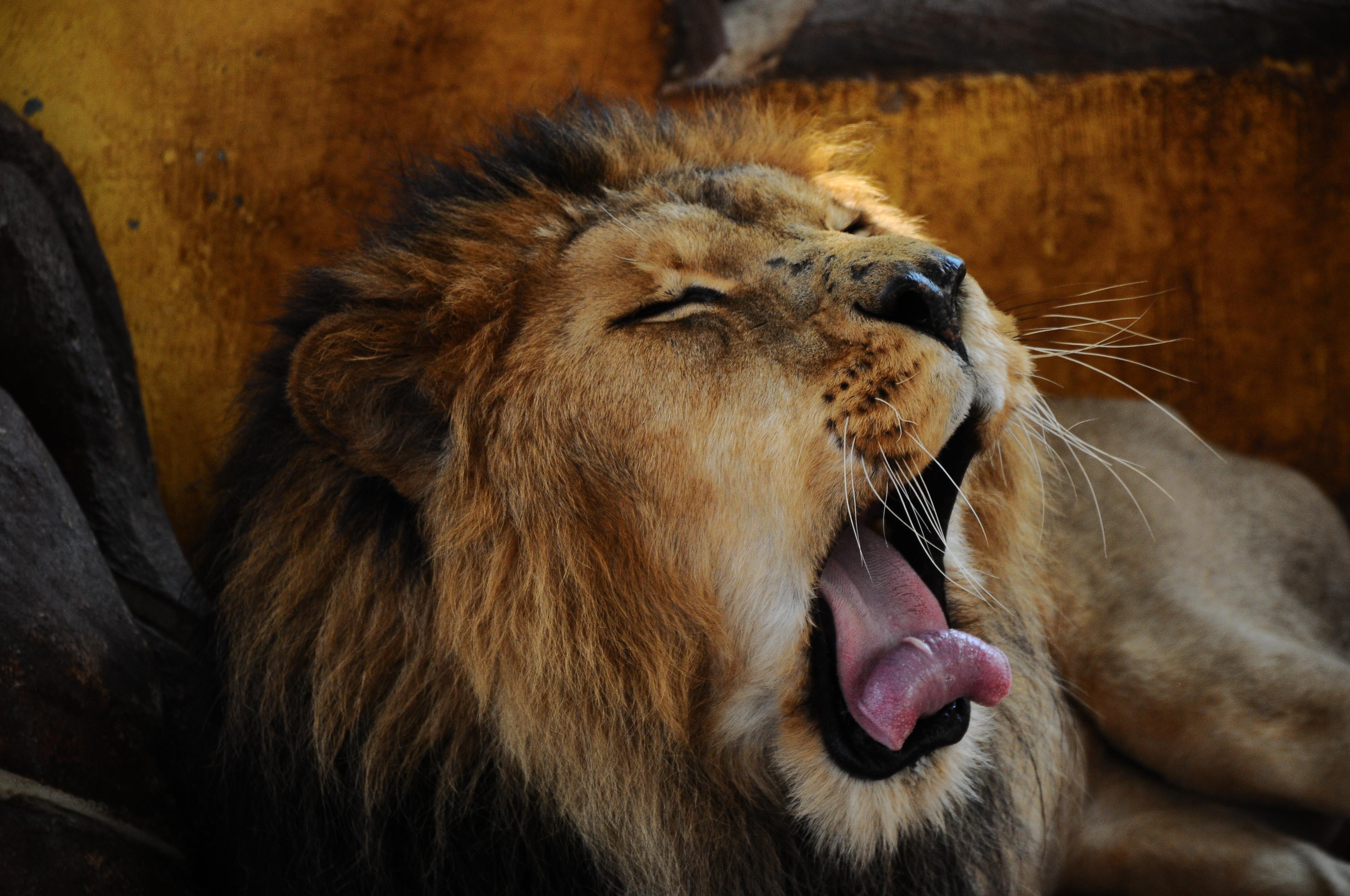 20170212_2_21809133_18826390