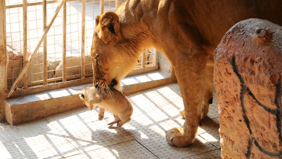 20170212_2_21809133_18826393