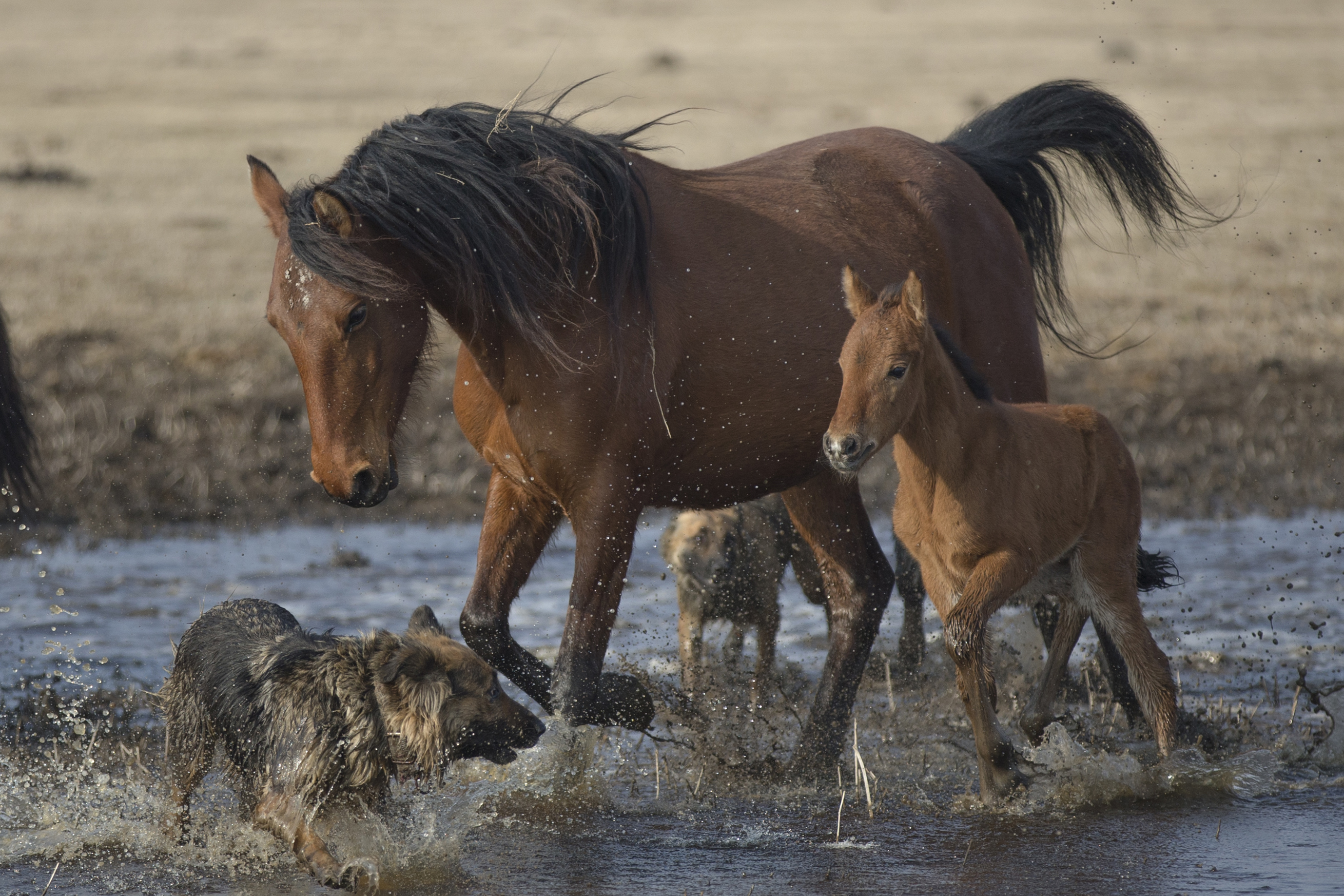 20170214_2_21840191_18879324(1)