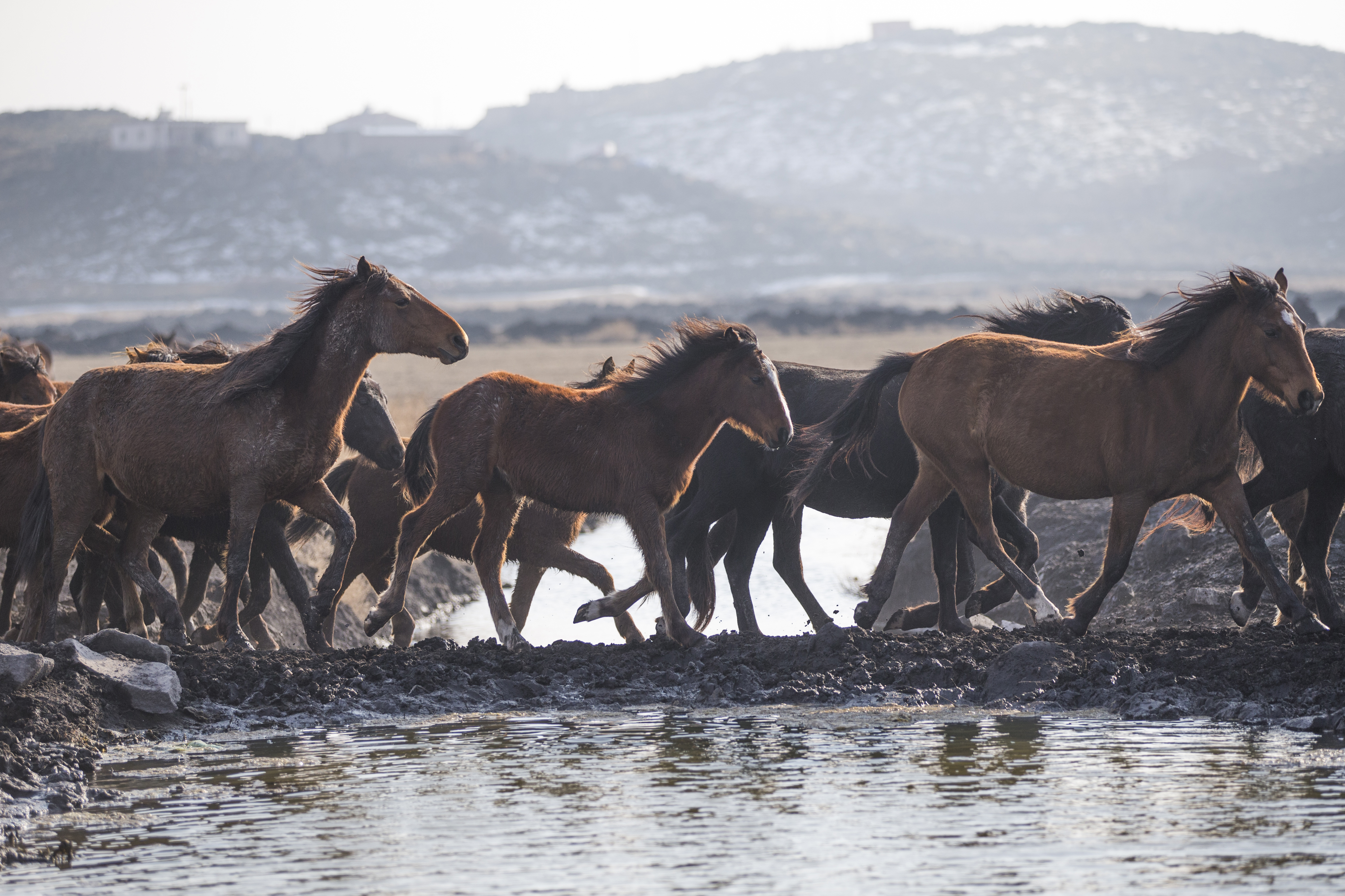 20170214_2_21840191_18879325