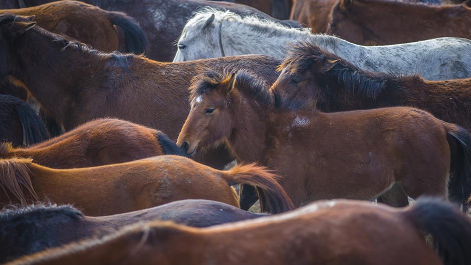 20170214_2_21840191_18879326