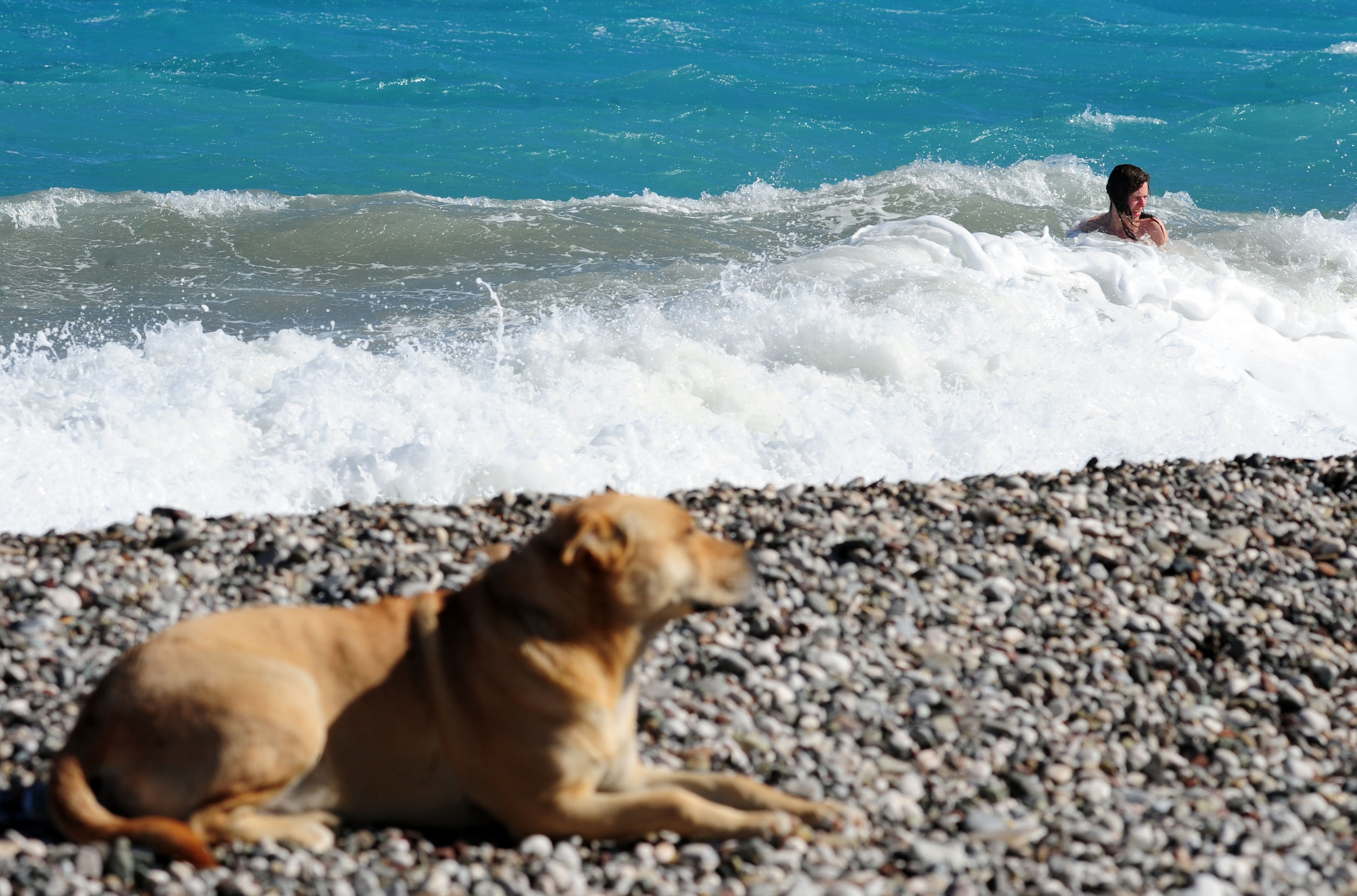 20170217_2_21911343_18997720