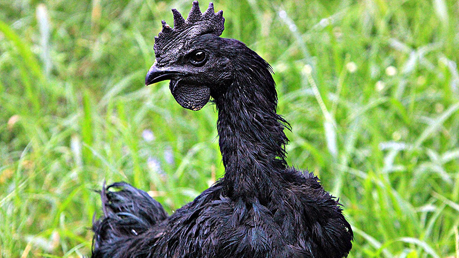 20170221_2_21975420_19123117 11