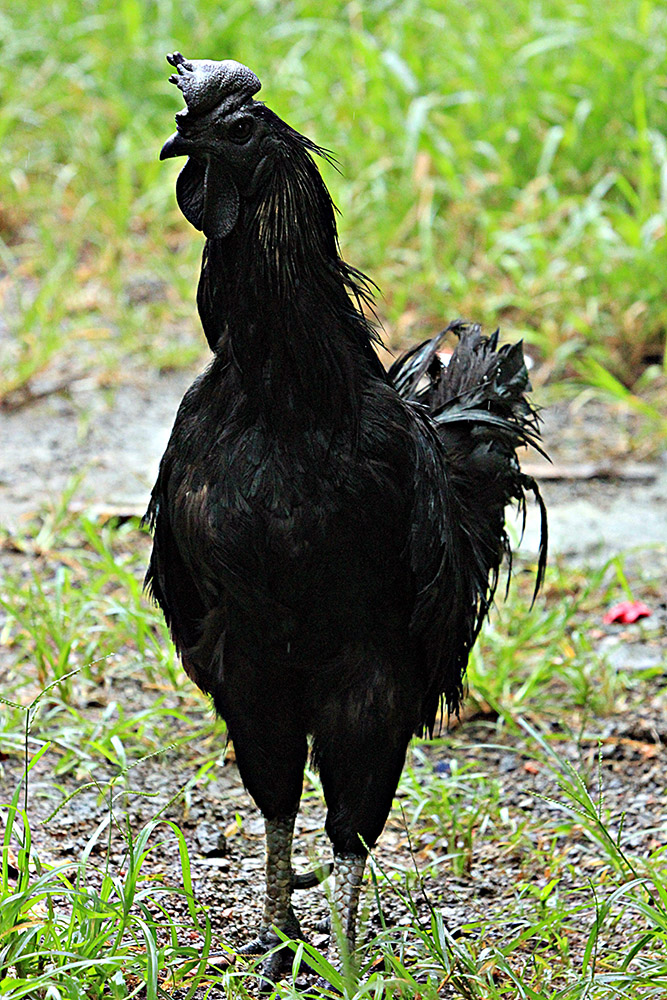 20170221_2_21975420_19123119