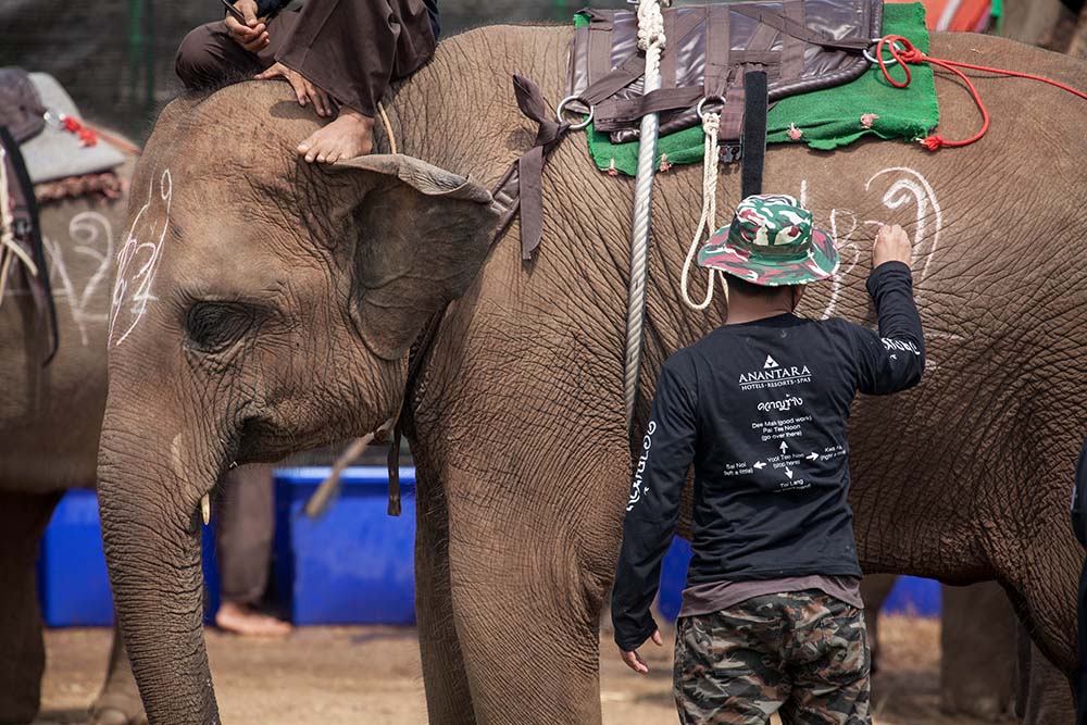 20170309_2_22293724_19673914