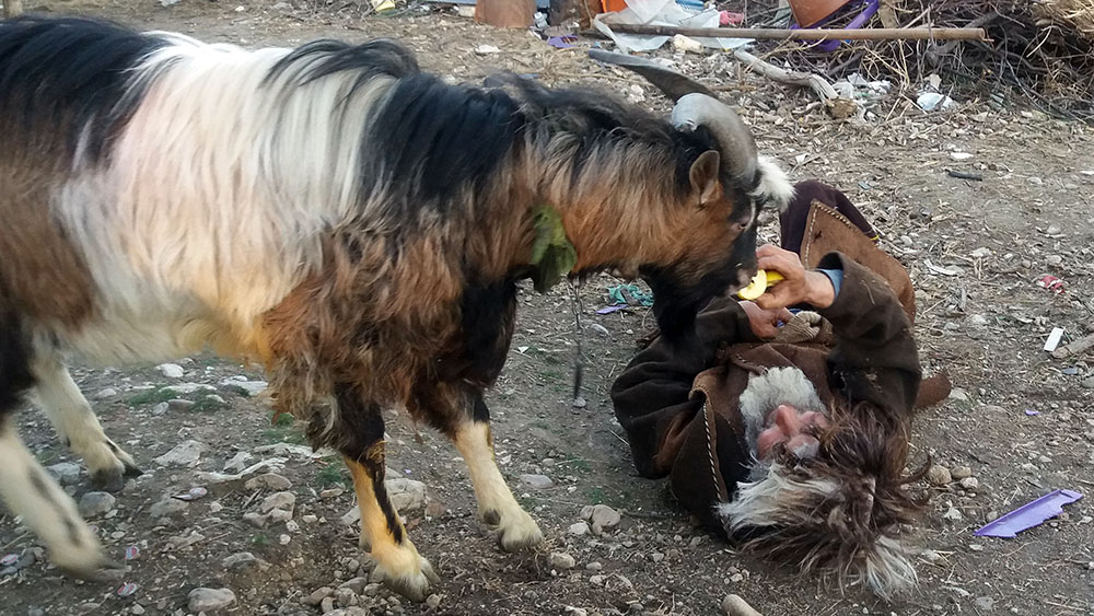 ANADOLIJA/Sanja Janacković