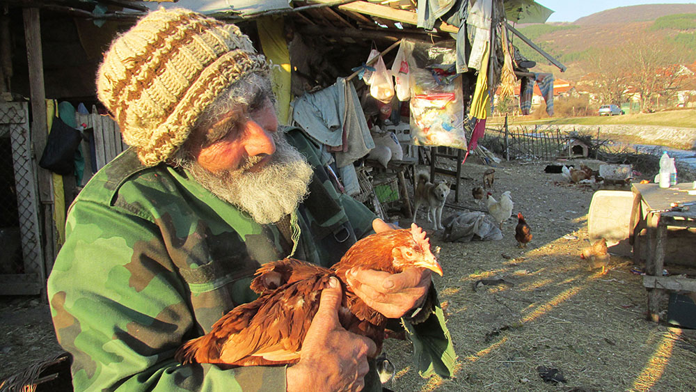 ANADOLIJA/Sanja Janacković