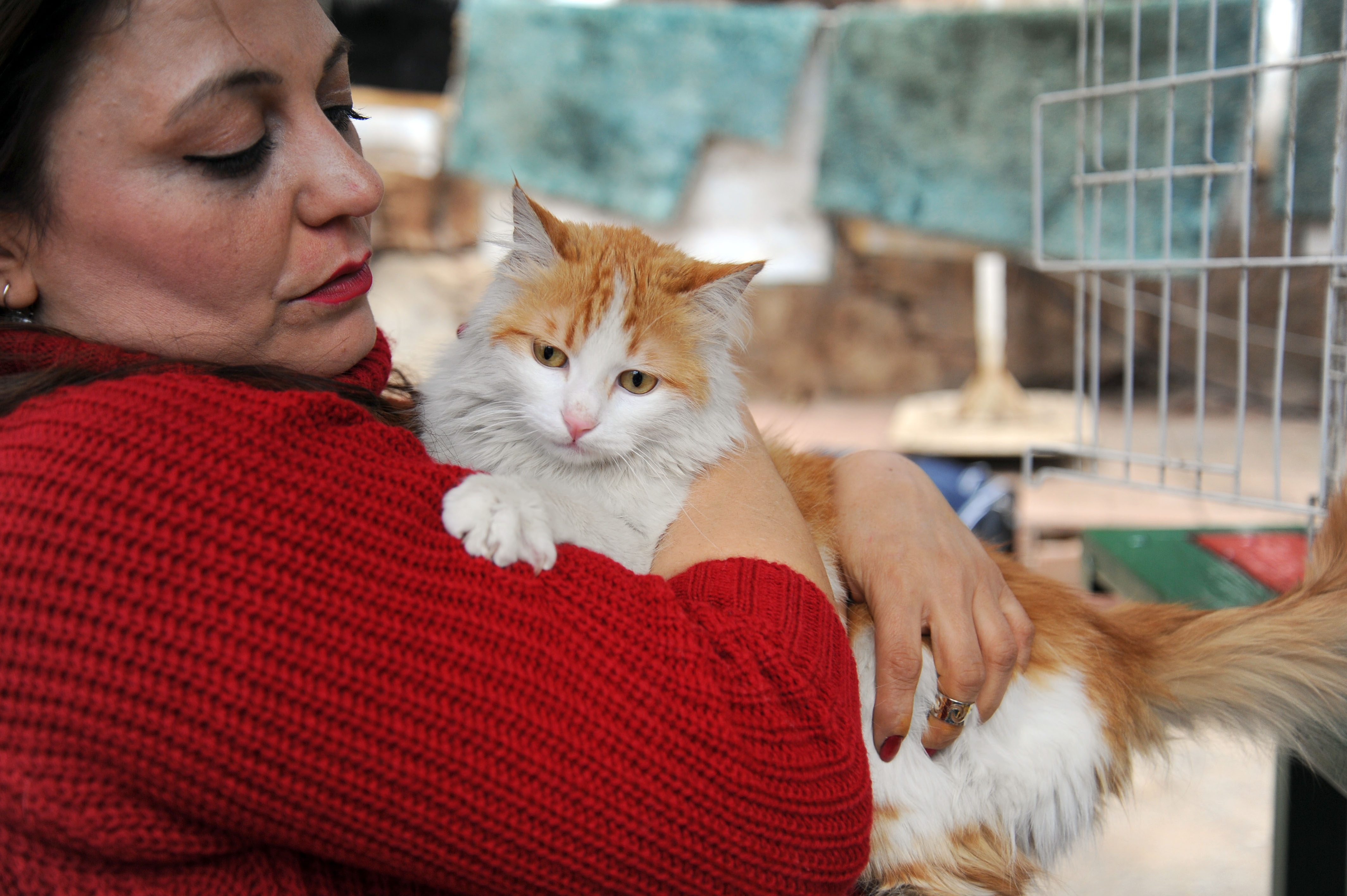 20170324_2_22600248_20219286