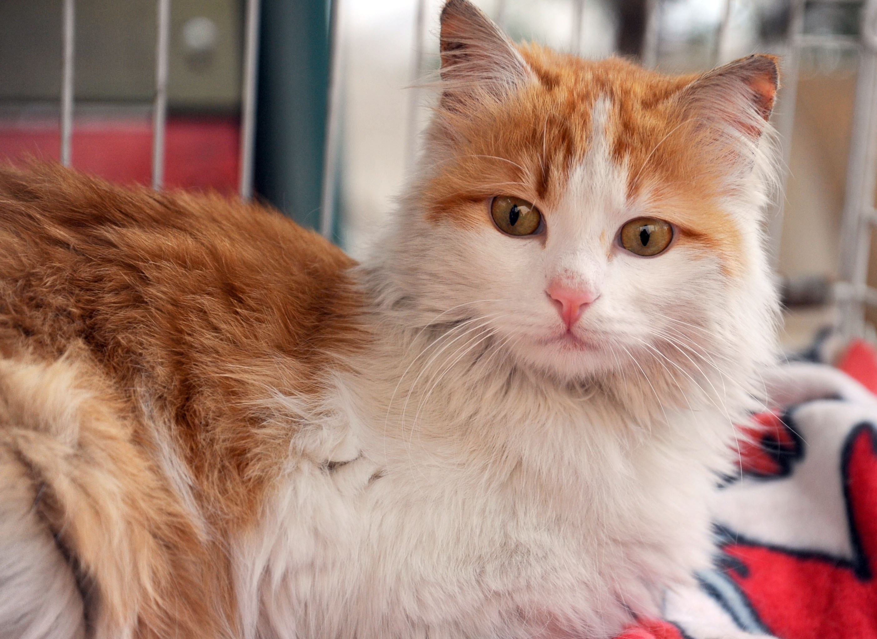 20170324_2_22600248_20219287