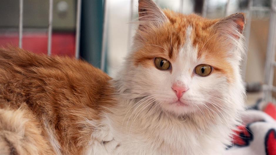 20170324_2_22600248_20219287