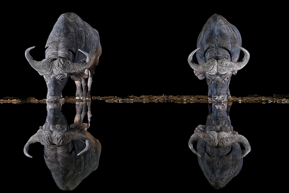 ANADOLIJA/Giovanni Frescura