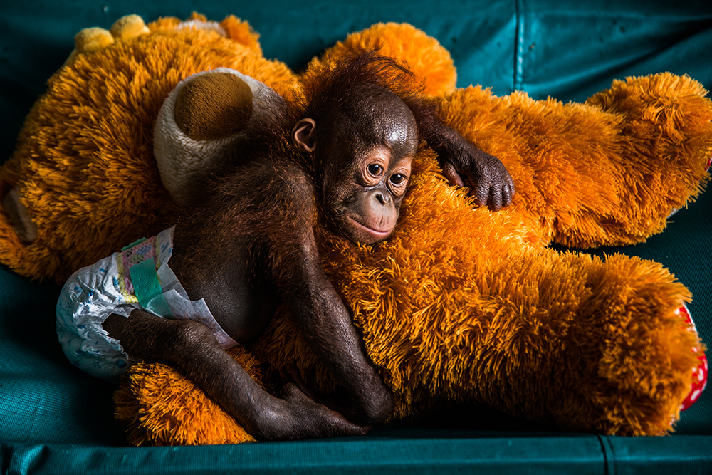 ANADOLIJA/Kemal Jufri