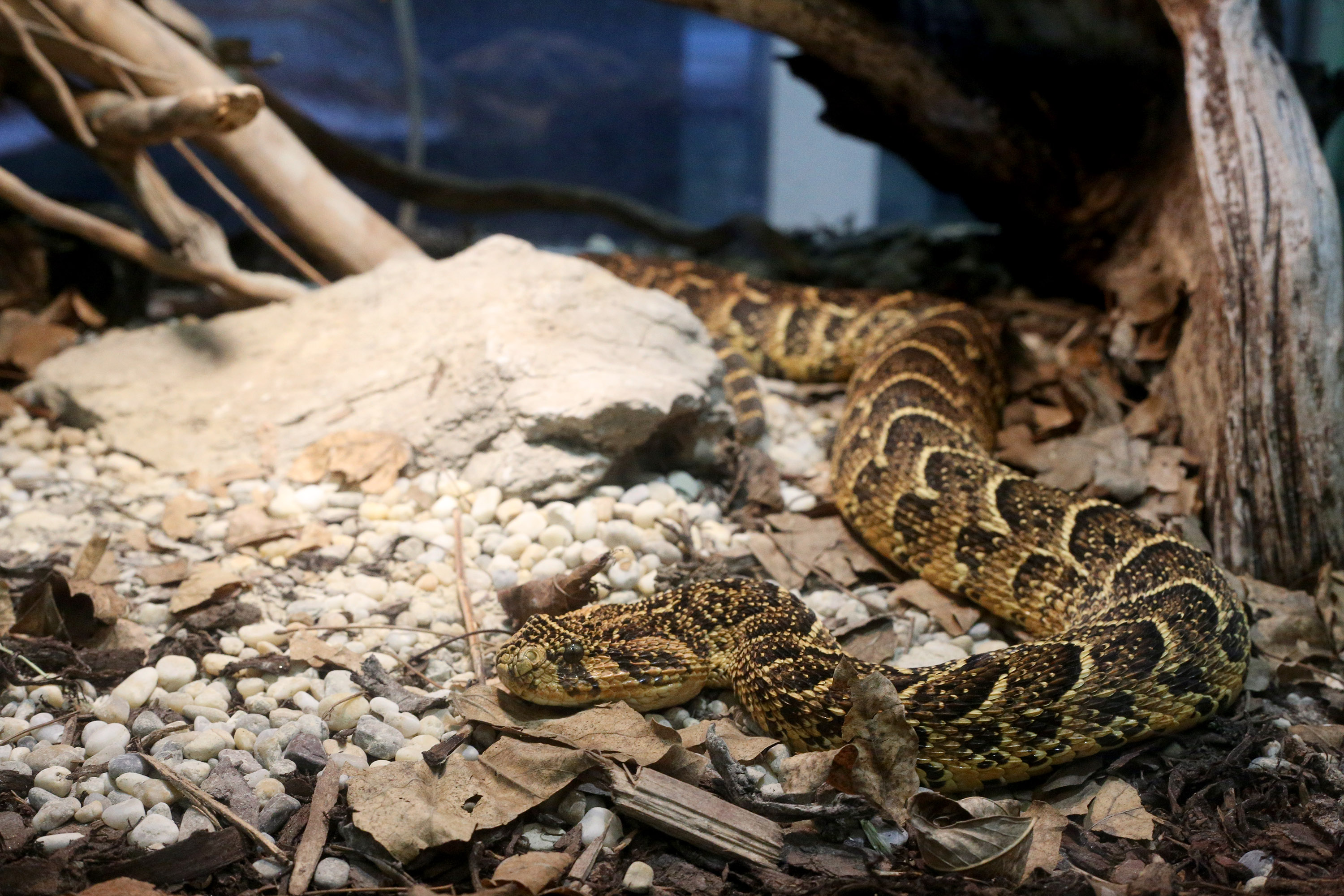 20170403_2_22849126_20629487