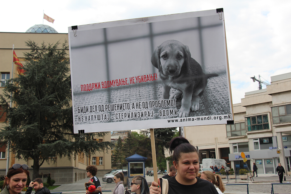 ANADOLIJA/Ivana Ramadanova