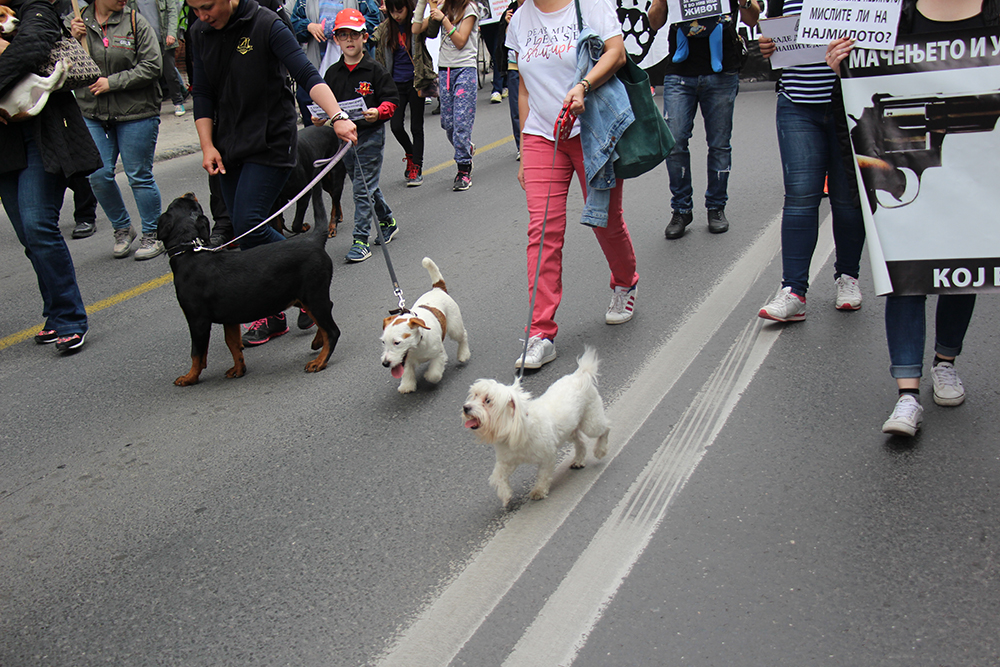 ANADOLIJA/Ivana Ramadanova