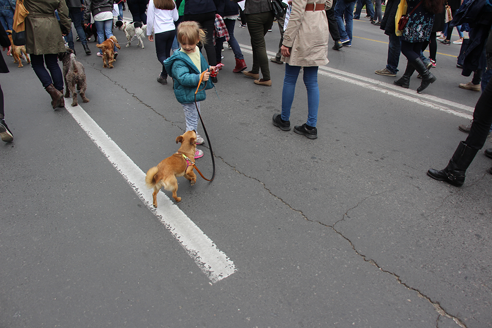 20170409_2_22975087_20853439