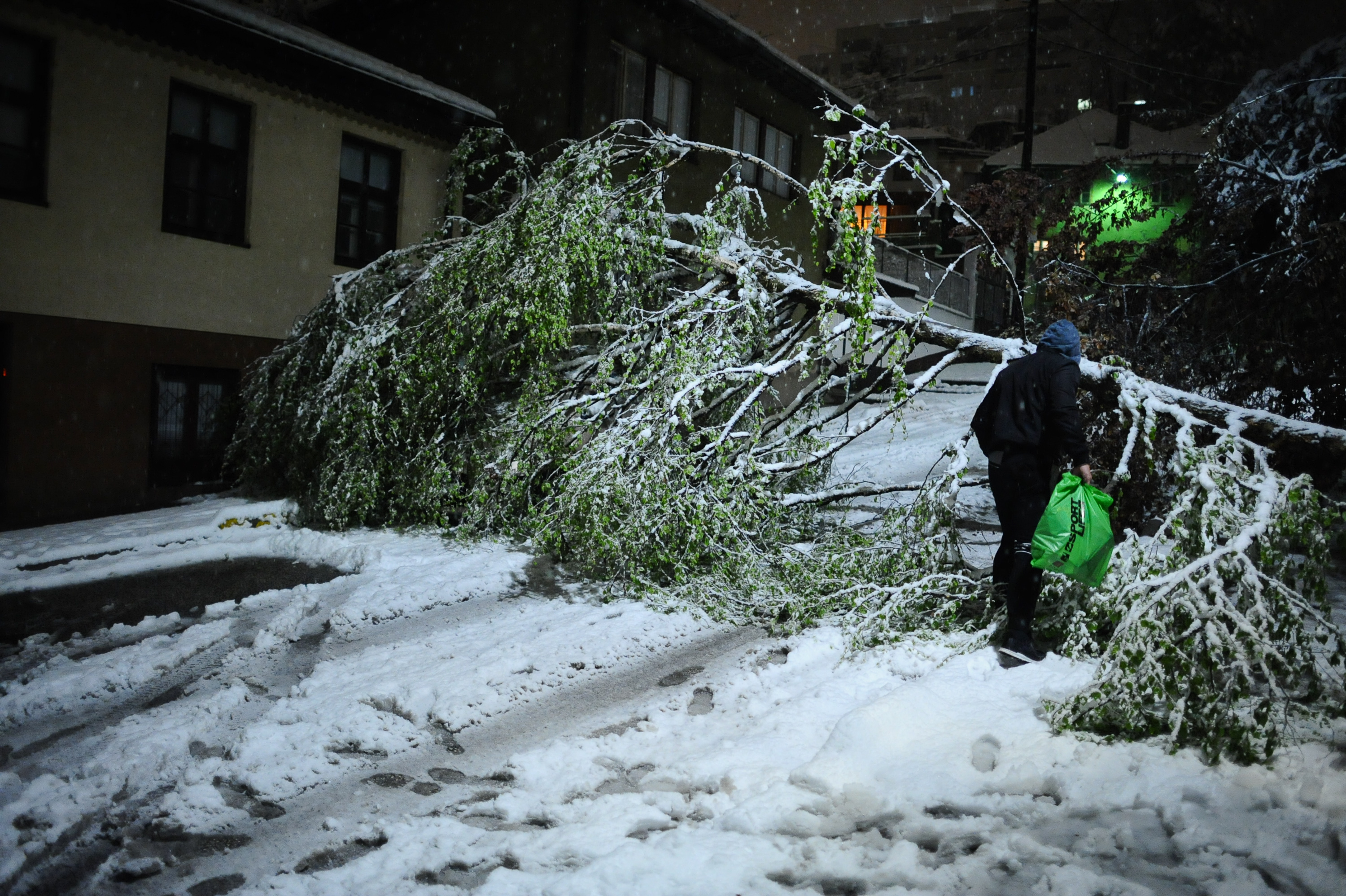 20170419_2_23171046_21183022