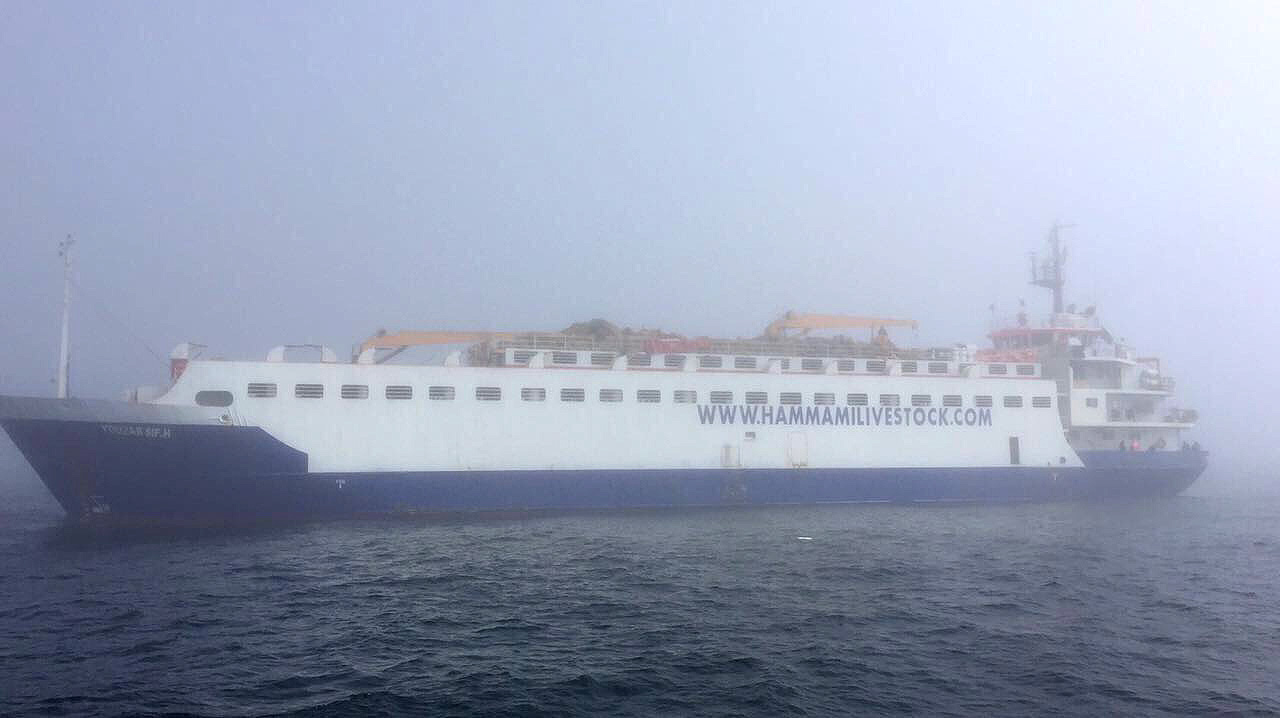 20170428_2_23355039_21508205