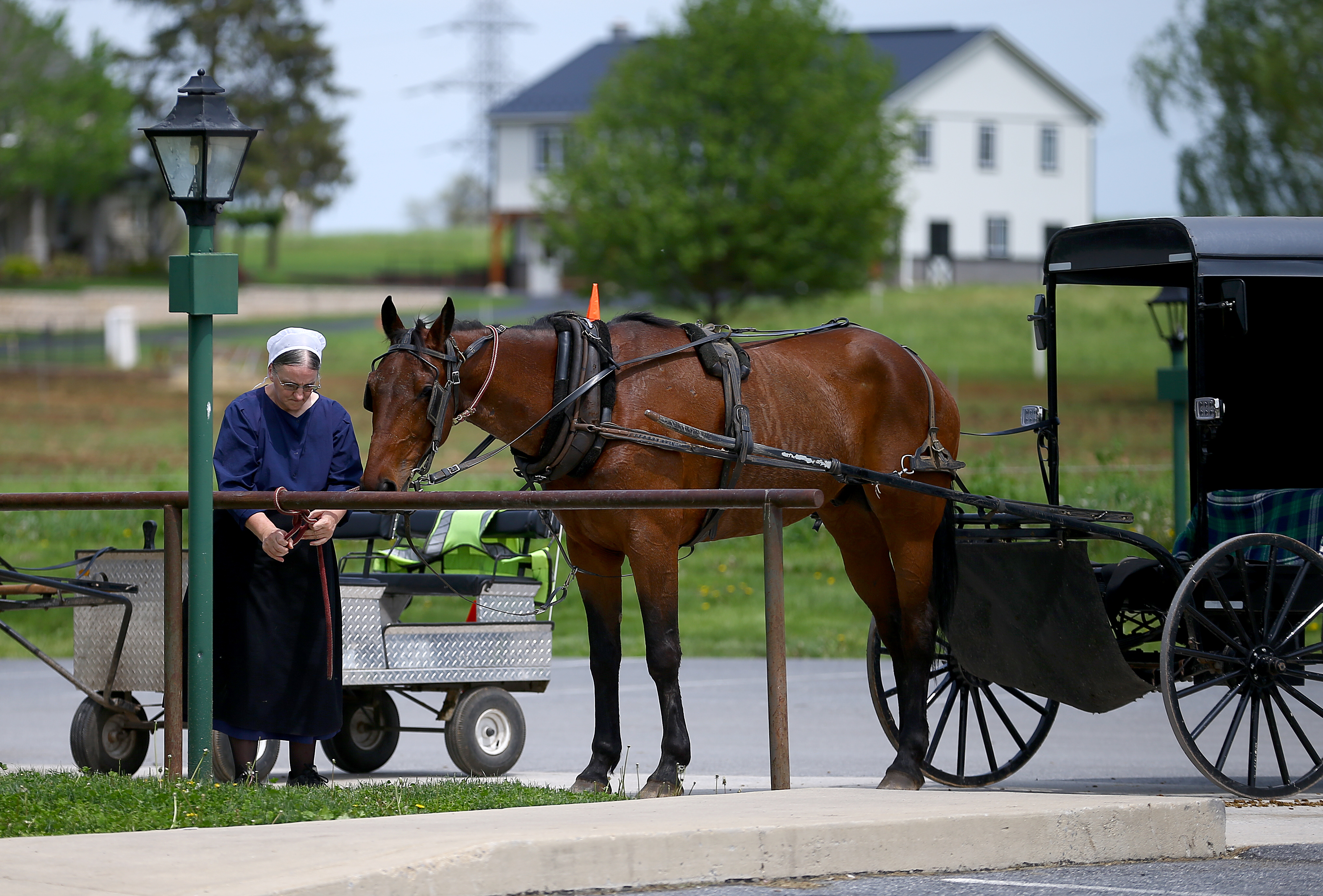 20170502_2_23413830_21633822